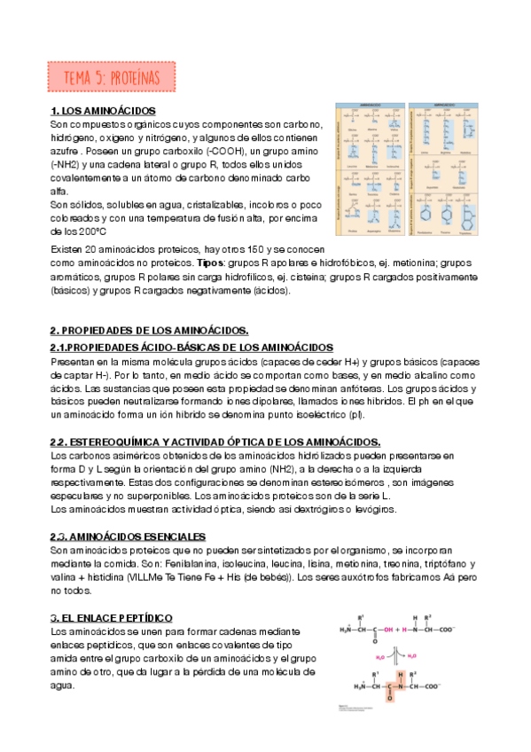 Miniatura del documento PROTEINAS.pdf