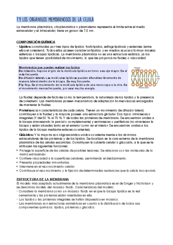 Miniatura del documento T.pdf