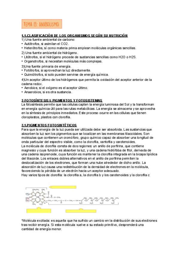 Miniatura del documento TEMA-13-BIOLOGIA.pdf