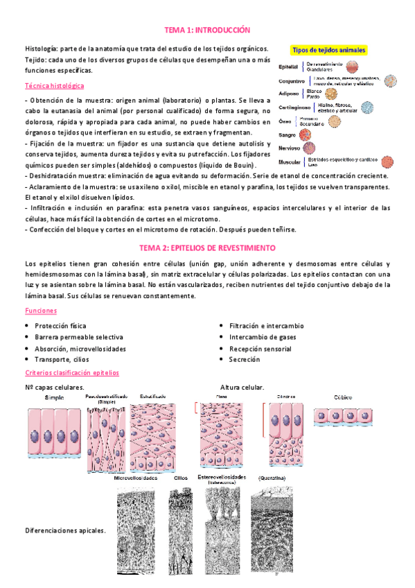 Miniatura del documento apuntes-tercer-parcial.pdf
