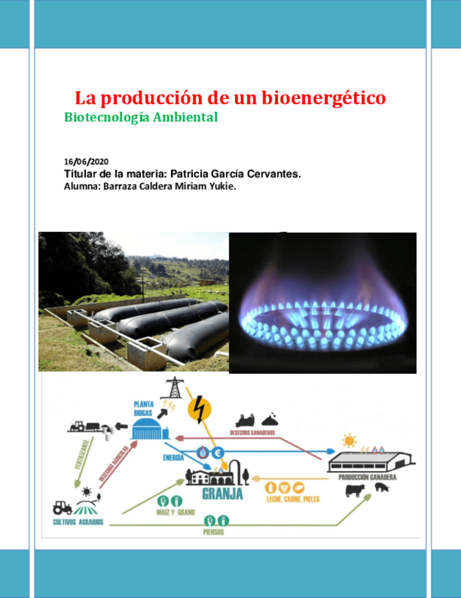 Miniatura del documento Biogas.pdf