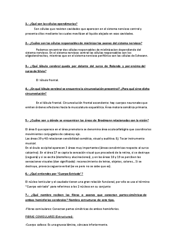 Miniatura del documento ACTIVIDADES DE PREPARACIÓN 2 .pdf