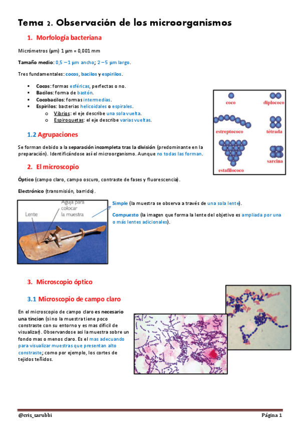 Miniatura del documento Tema 2 Apuntes Bio IMP(7).pdf