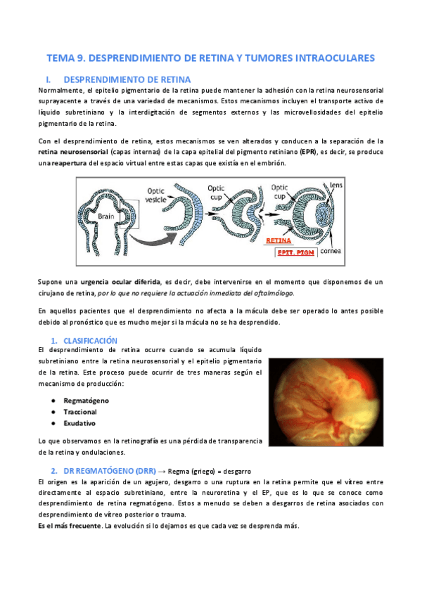 Miniatura del documento Tema-9.pdf