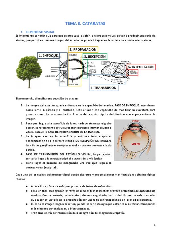 Miniatura del documento Tema-3.pdf