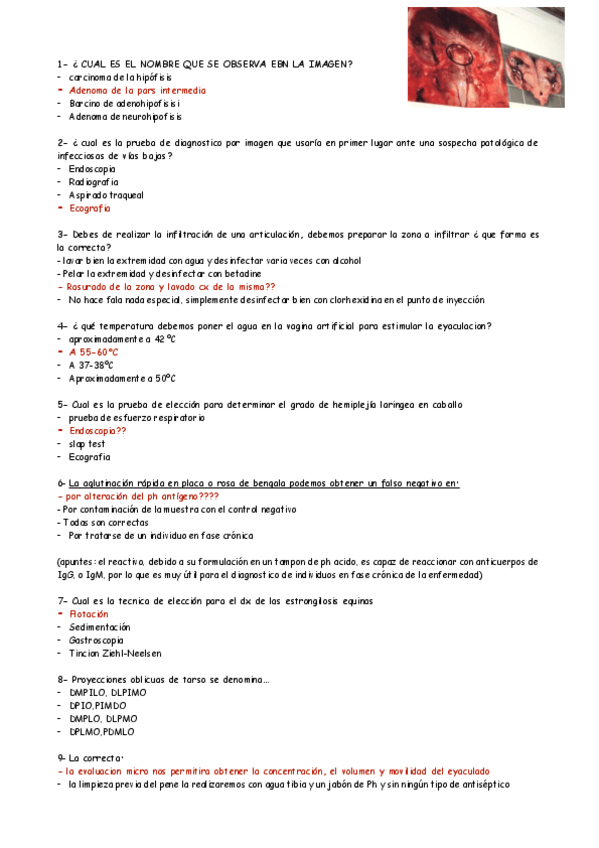 Miniatura del documento examen-practico-equino-2021.pdf