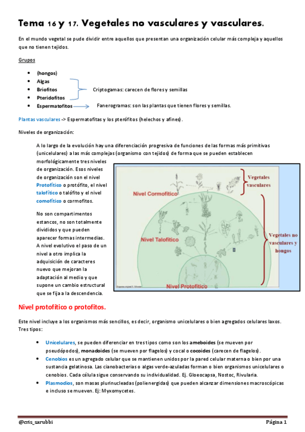 Miniatura del documento Tema 16 y 17 Apuntes Bio IMP(5).pdf