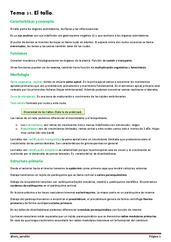 Miniatura del documento Tema 21. El tallo. (3).pdf