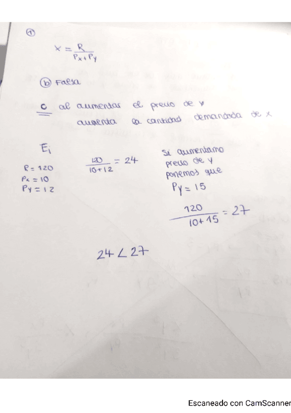 Miniatura del documento PARCIAL-1-CONSUMO.pdf