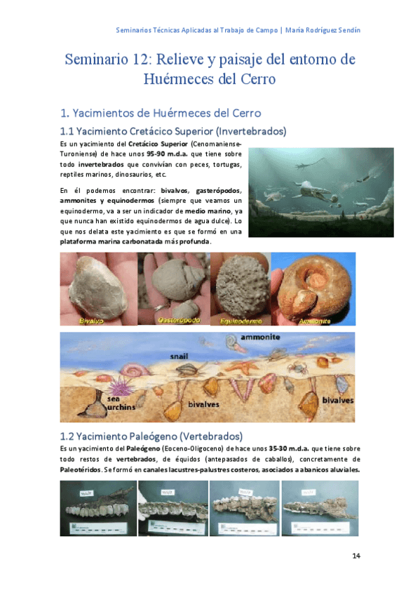 Miniatura del documento Seminario-12-Geologia--Mis-apuntes.pdf