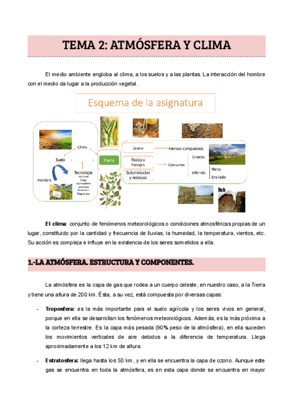Miniatura del documento TEMA-1-Atmosfera-y-clima-1.pdf