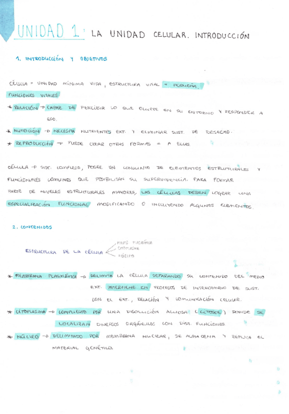 Miniatura del documento T.pdf