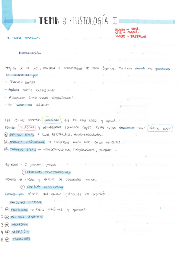 Miniatura del documento HISTOLOGIA-I.pdf
