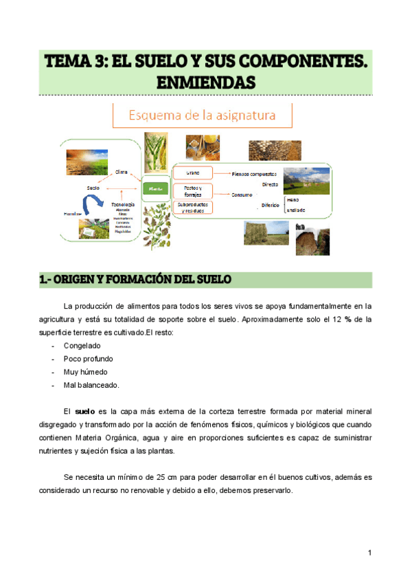 Miniatura del documento TEMA-3-EL-SUELO-Y-SUS-COMPONENTES.pdf