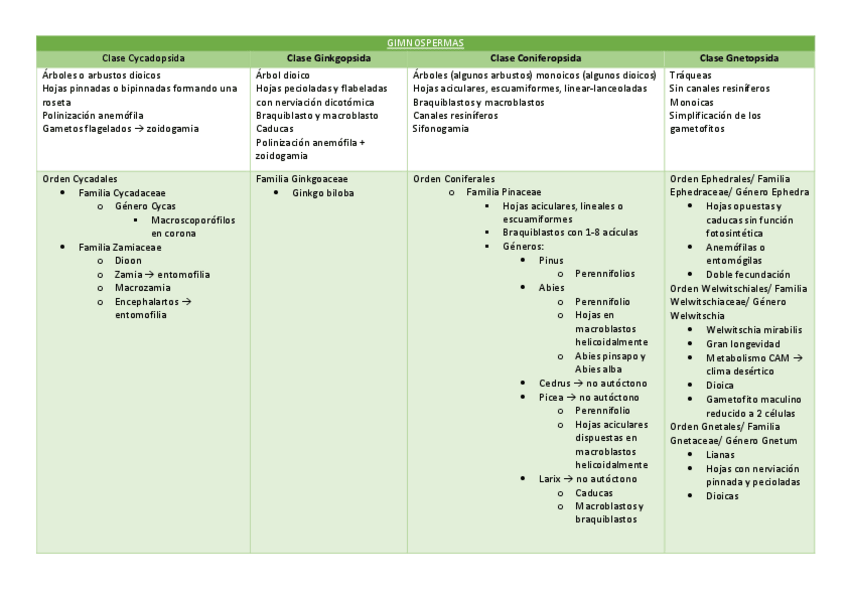 Miniatura del documento GIMNOSPERMAS.pdf