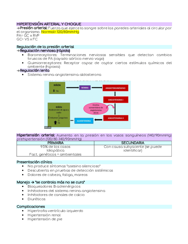Miniatura del documento HIPERTENSION-ARTERIAL-Y-CHOQUE.pdf