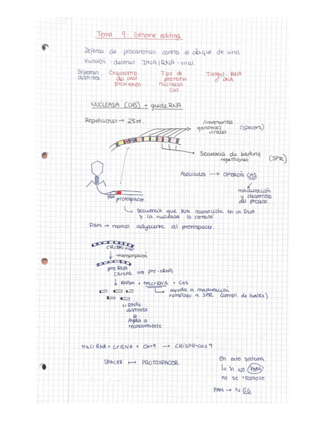 Miniatura del documento TEMA-CRISPR-CAS9.pdf