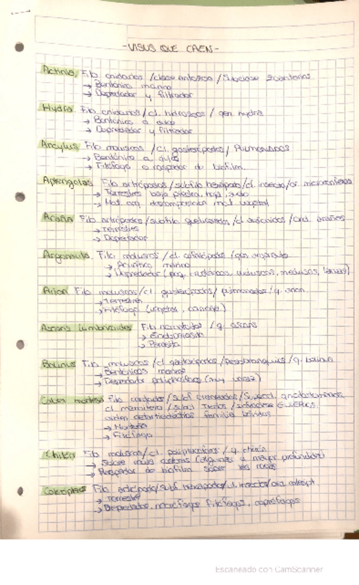 Miniatura del documento visus-zoo.pdf
