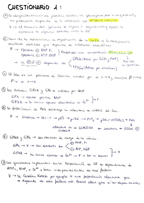 Miniatura del documento CUESTIONARIO-1.pdf