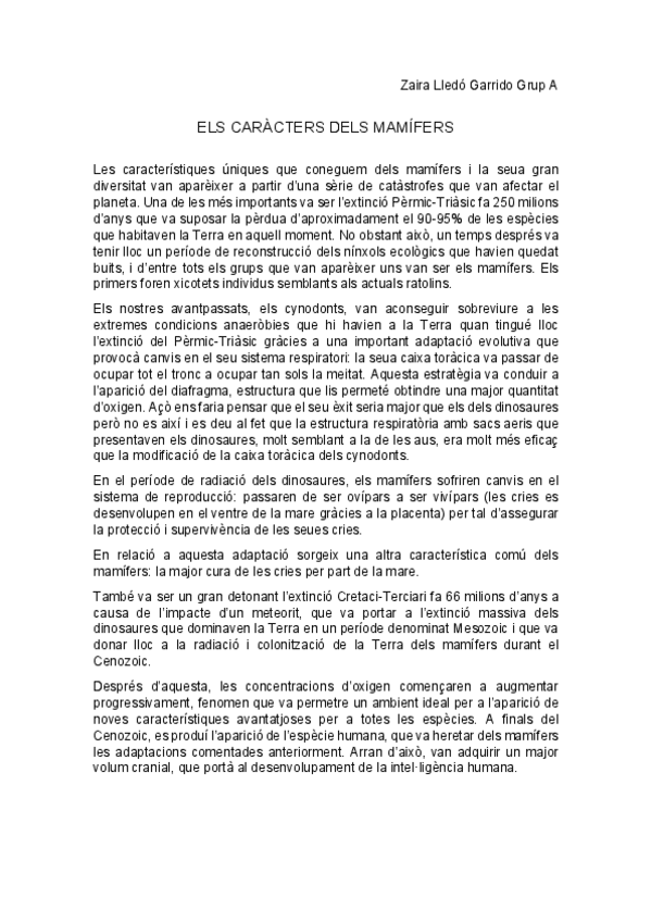 Miniatura del documento ACTIVITAT-7-ARBRE-Mamifers.pdf