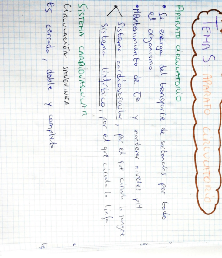 Miniatura del documento Aparato-circulatorio-.pdf