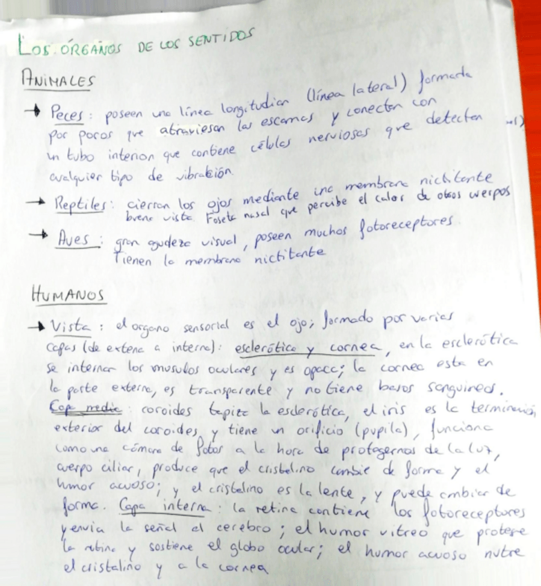 Miniatura del documento Relacion-en-animales.pdf