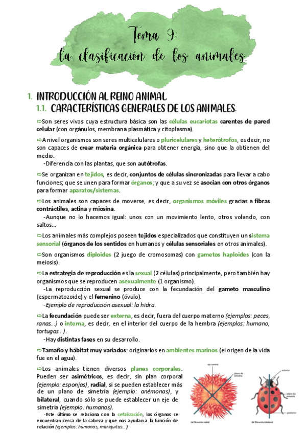 Miniatura del documento tema-9-clasificacion-de-los-animales.pdf