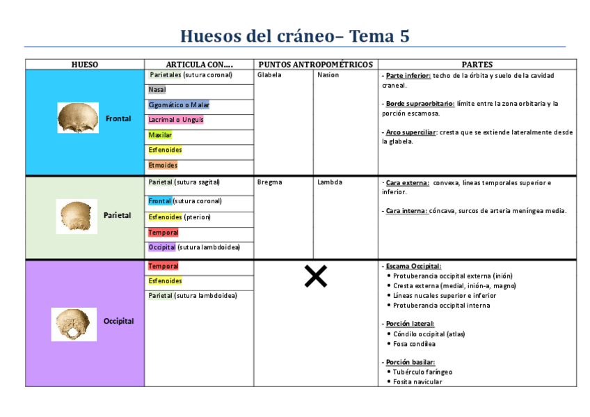 Miniatura del documento Huesos-Temas-56-y-7.pdf