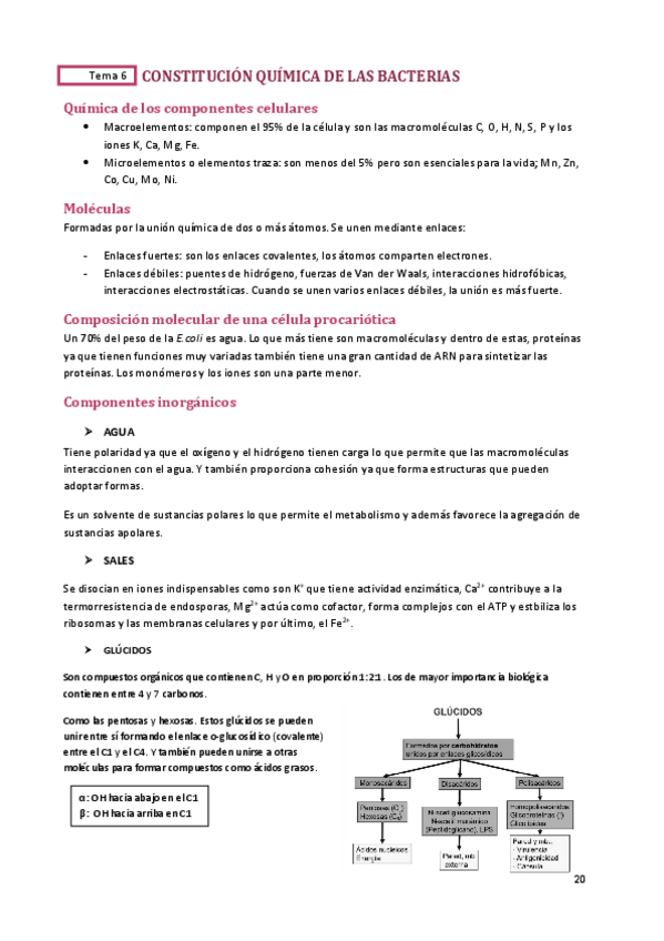 Miniatura del documento TEMA-6.pdf