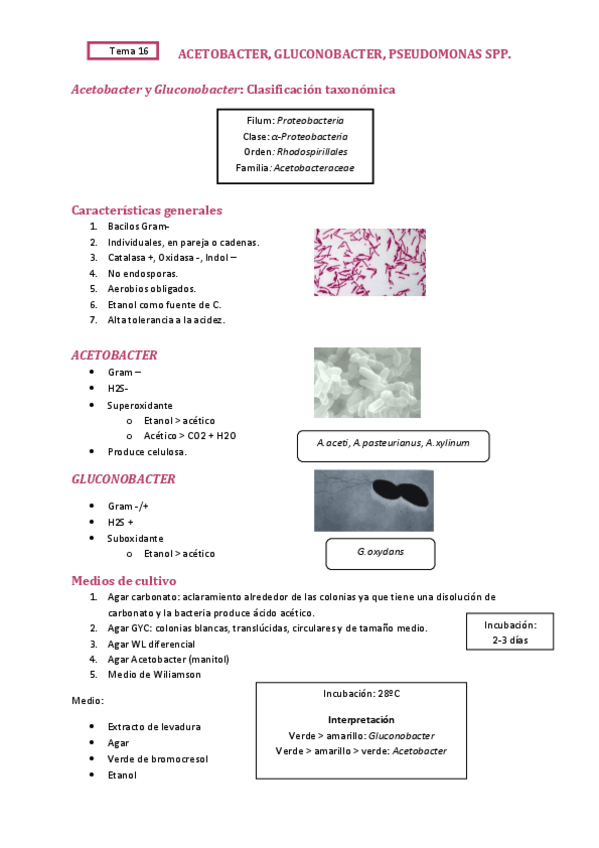 Miniatura del documento TEMA-16.pdf