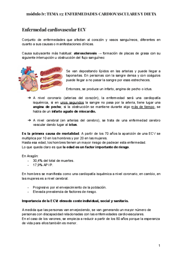 Miniatura del documento TEMA-13-ENFERMEDADES-CARDIOVASCULARES-Y-DIETA.pdf