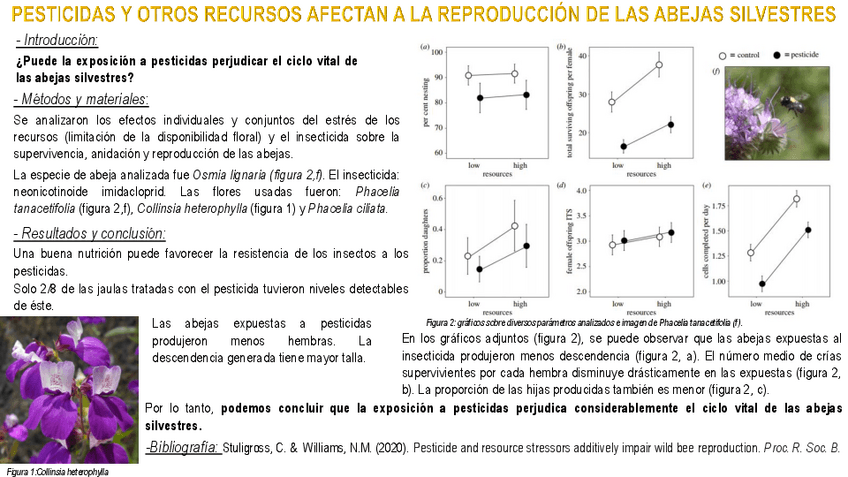 Miniatura del documento Poster-zoologia-II.pdf