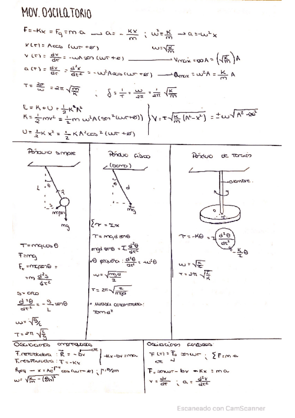 Miniatura del documento FORMULARIO-COMPLETO.pdf
