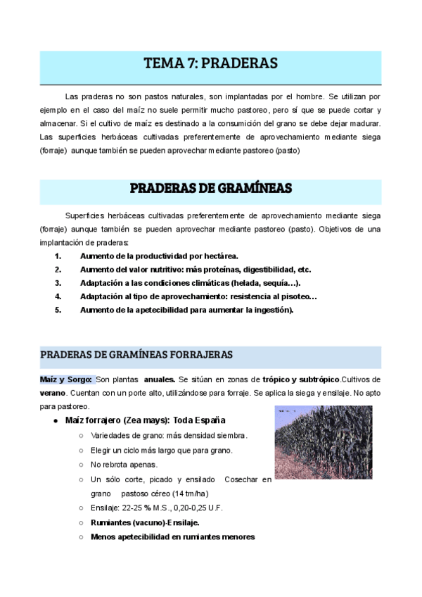 Miniatura del documento TEMA-7-PRADERAS.pdf