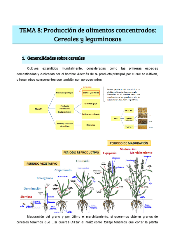 Miniatura del documento TEMA-8-Produccion-de-alimentos-concentrados-Cereales-y-leguminosas.pdf