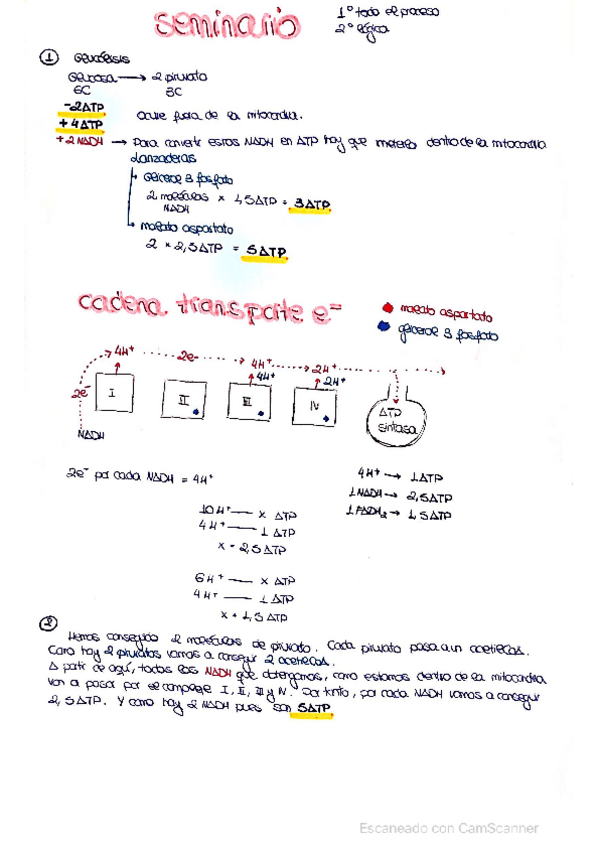 Miniatura del documento Seminarios-examen-bioquimica.pdf