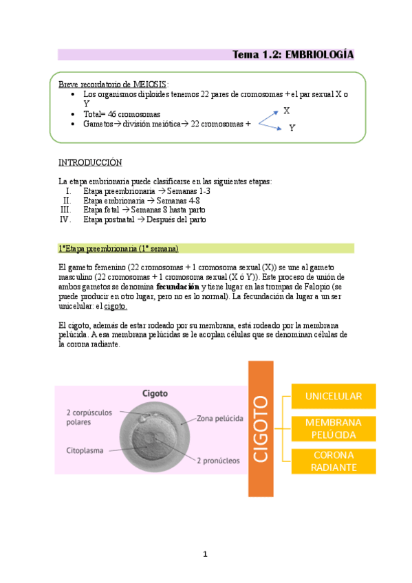 Miniatura del documento Embriologia.pdf