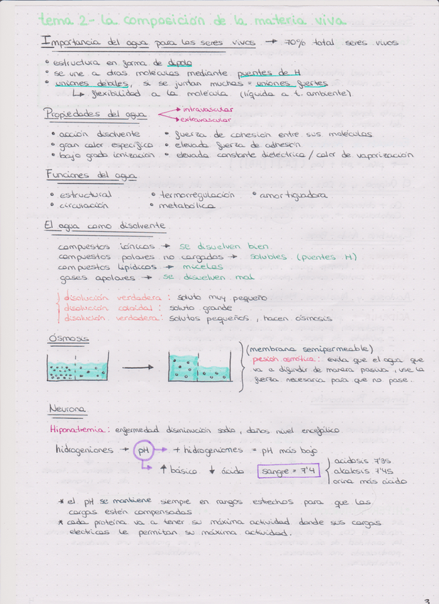 Miniatura del documento ESQUEMAS-TEMA2.pdf
