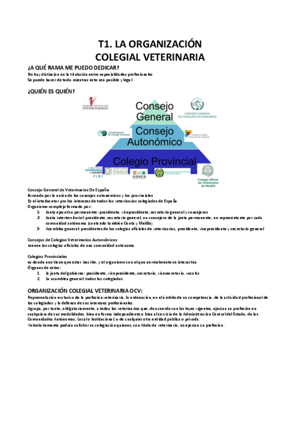 Miniatura del documento ALPV.pdf