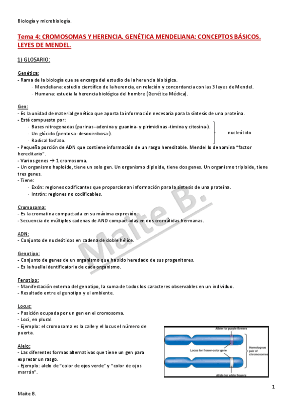 Miniatura del documento Tema-4.pdf
