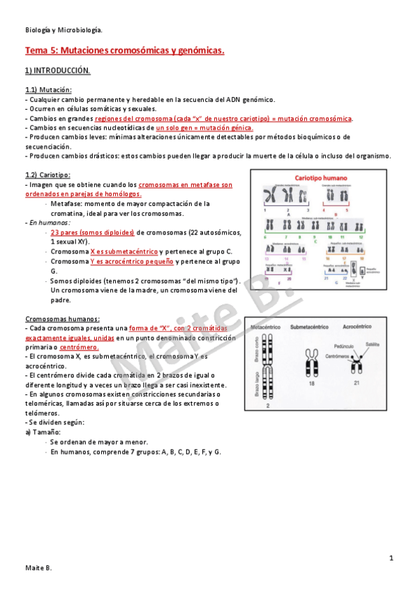 Miniatura del documento Tema-5.pdf