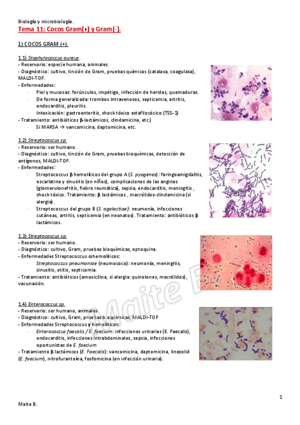 Miniatura del documento Tema-11.pdf