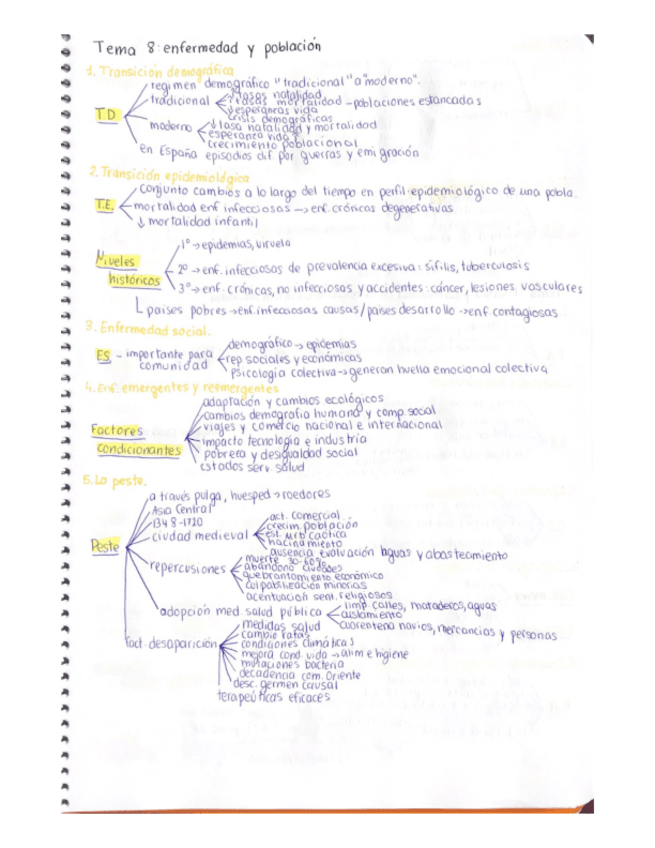 Miniatura del documento Historia.pdf