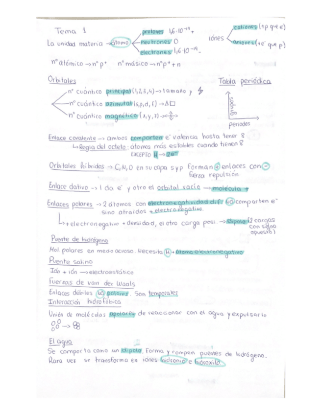 Miniatura del documento Bioquimica.pdf
