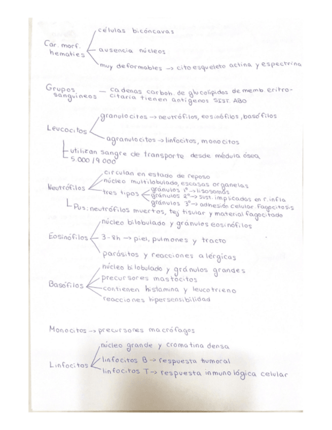 Miniatura del documento Biologia-3.pdf