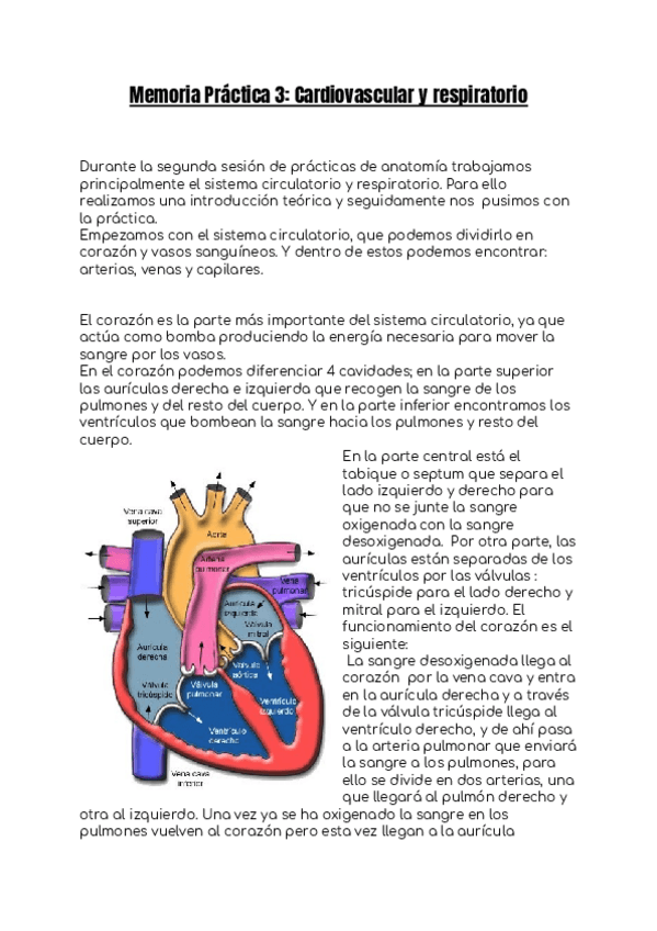 Miniatura del documento Memoria-Practica-3.docx