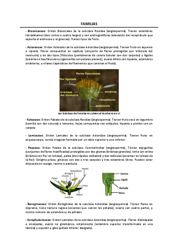 Miniatura del documento Teoria-de-mi-herbario.pdf