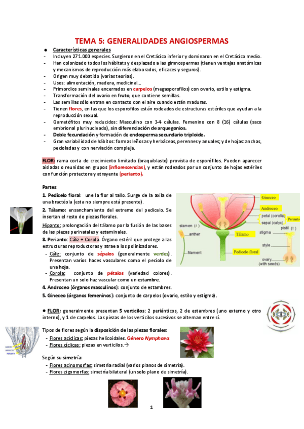 Miniatura del documento Apuntes-Botanica-II-parte-2.pdf