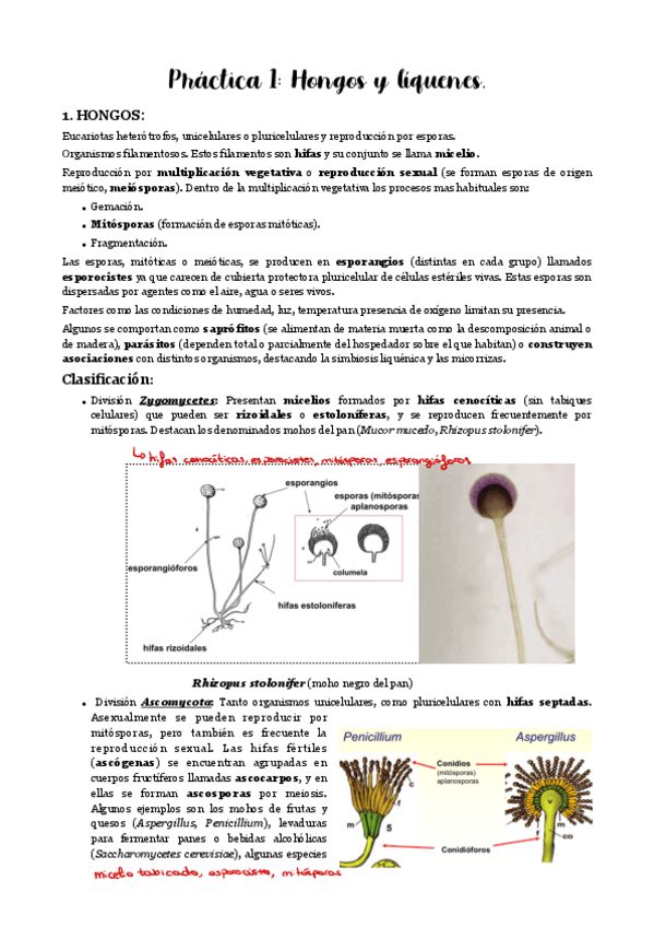 Miniatura del documento Practicas-1-y-2.pdf