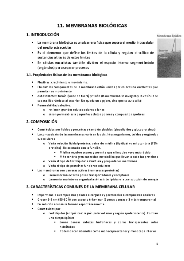 Miniatura del documento Bioquimica-Segundo-cuatrimestre.pdf